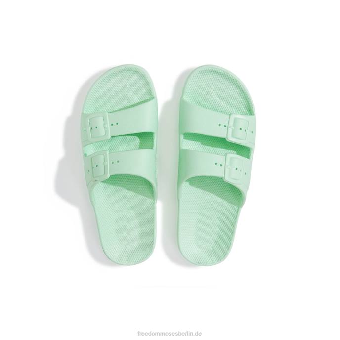 pastellgrün Freedom Moses Minze 622T7